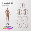 Bundle Pack Donna - 3D Model - immagine 2