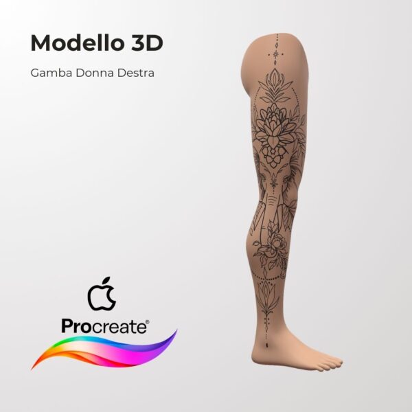 3D Model Procreate tattoo - Gamba Donna DX - immagine 2