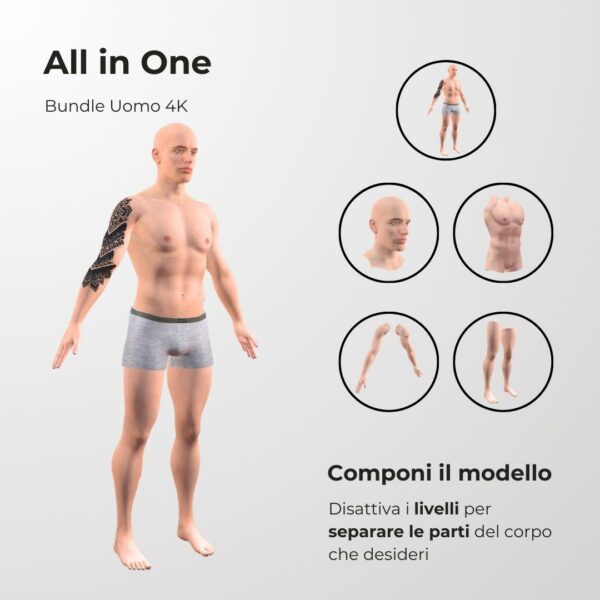 modello 3d procreate all in one