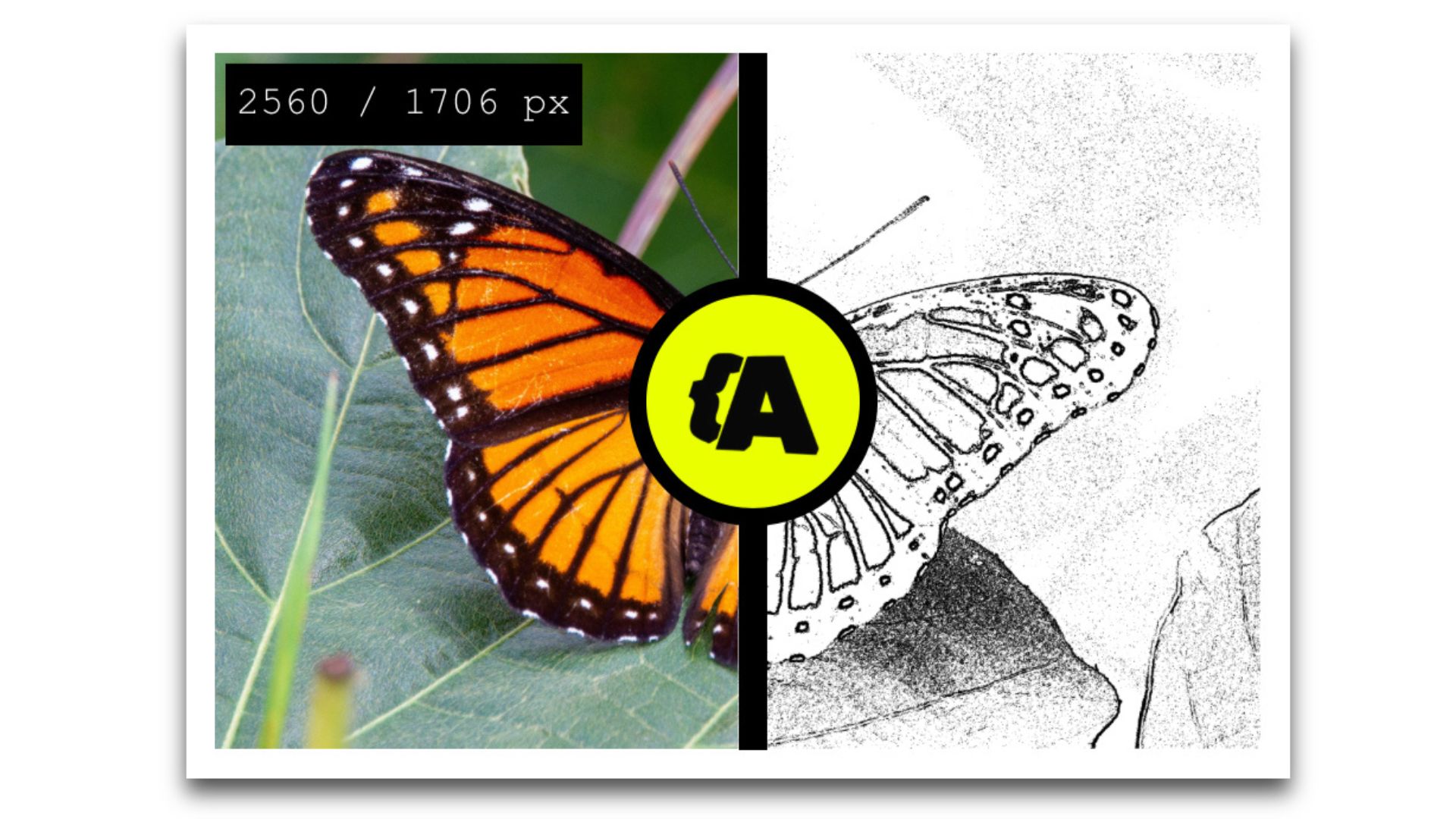 software creazione stencil tatuaggi