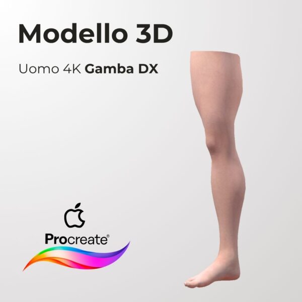 3D Model Procreate tattoo 4k – UOMO GAMBA DX - immagine 2